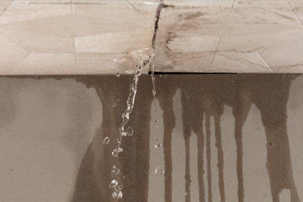 Professional Water Damage Repair technician working in Madisonville, LA
